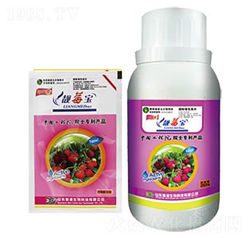 草莓專(zhuān)用靚莓寶-新港生物