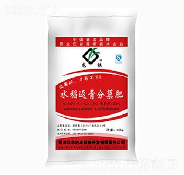 水稻返青分蘗肥-達(dá)豐