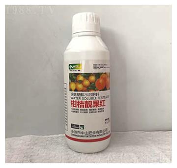 柑桔靚果紅-中山肥業(yè)