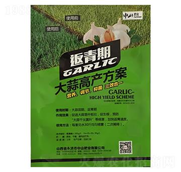大蒜高產(chǎn)方案（返青期）-中山肥業(yè)