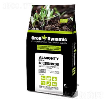 多元素彭果壯根-沃福沃