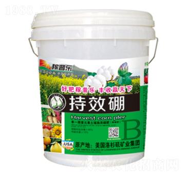 ��Ч���w����-���՘�-���ɷʘI(y��)