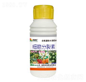 ��(x��)��������-���՘�-���ɷʘI(y��)