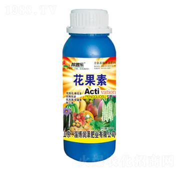 ������-���՘�-���ɷʘI(y��)