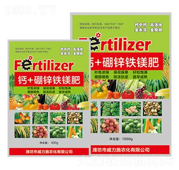 �}+���\�F�V�ʴ��b-����ʩ