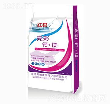 �����}+�V-�t�y-����ʩ