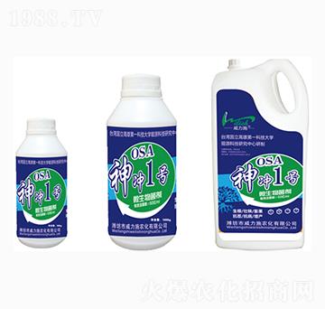 ��_1̖(h��o)ƿ�b΢�������-����ʩ