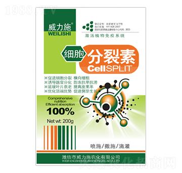 200g��(x��)��������-����ʩ