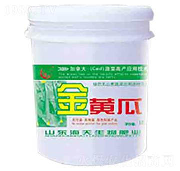 金黃瓜-海天生物