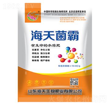 �������-��������