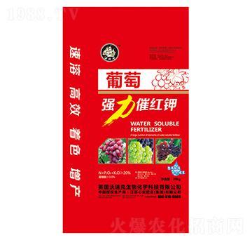 ���я�(qi��ng)���߼t�-�Č���