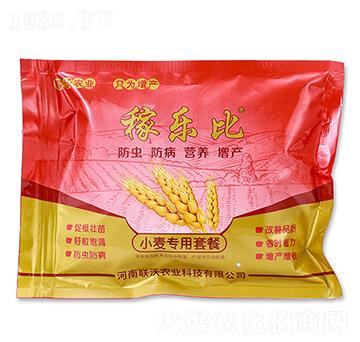 С�������ײͣ����x�棩