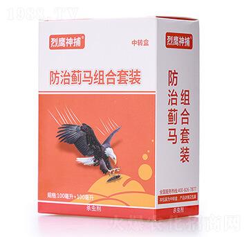 �����E�R�M�����b-����