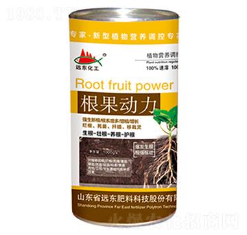 ��������-�h�|����