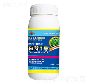 ��ѿ1̖-�h�|����