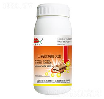 ɽˎ���������-�h�|����