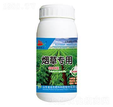 ���݌���-�h�|����