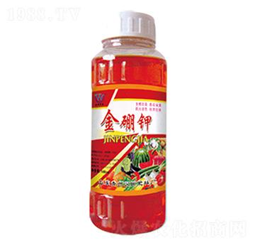 �����-�h�|����