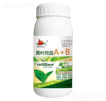 �S�~����A+B-�h�|����