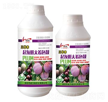 三華李起灰膨大著色靚-威力施