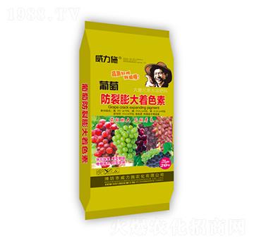 ���ѷ��������ɫ��-����ʩ