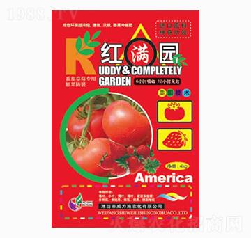 紅滿(mǎn)園4kg-威力施