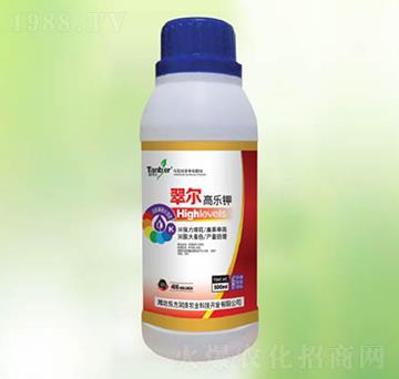 �䠖�ߘ��-�|������