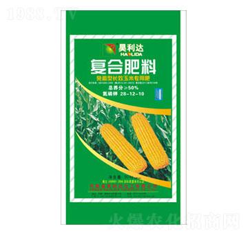 ���׌��Ï�(f��)�Ϸ���28-12-10-�d�l(f��)����_