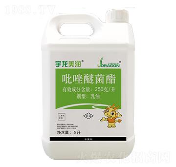 250��ÿ�������Ѿ�����5����-��������-��������