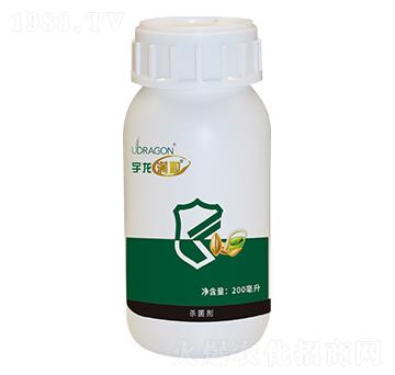 �����M��-��������