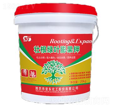 �Ѹ��G�~����-���|����