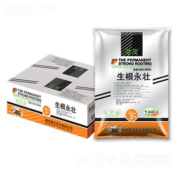 ��������-̩�_�r(n��ng)��