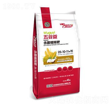 ����溬����ጷ�25-10-11+TE-����֮��-���ʼ��F