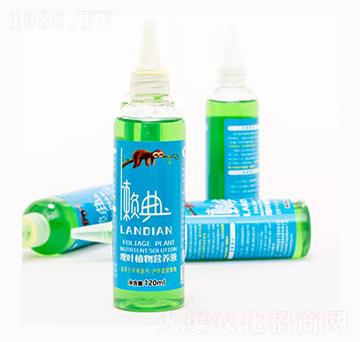 觀葉植物營養(yǎng)液-中農(nóng)盛源