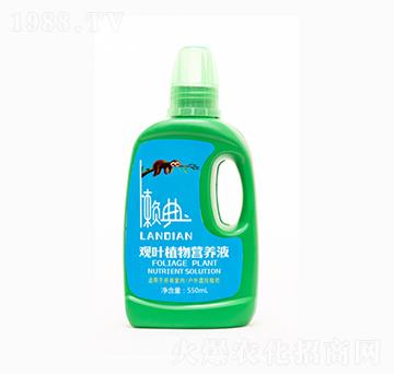 550ml觀(guān)葉植物營(yíng)養(yǎng)液-中農(nóng)盛源