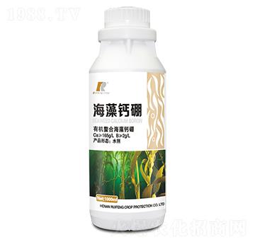 海藻鈣硼-銳豐作物