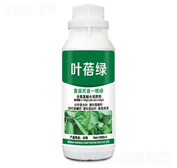 黃苗死苗一噴綠-葉蓓綠-銳豐作物