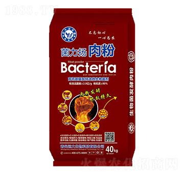 高鈣氨基酸微生物菌劑-菌力揚(yáng)肉粉-遠(yuǎn)大生物