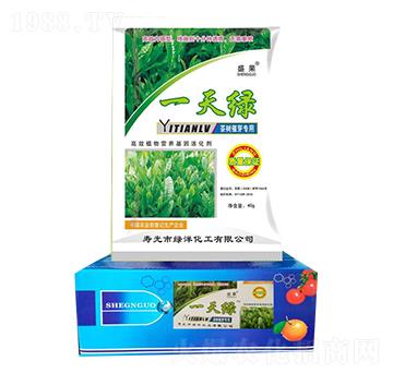 茶葉一天綠-綠洋