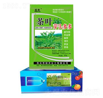 茶葉芽頭多多-綠洋