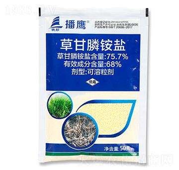 50�˲ݸ���@�}-����-ϲ�S��