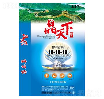 �������19-19-19-������-����