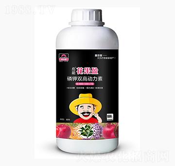 ���ܻ���ӯ-����ɭ�r(n��ng)�I(y��)