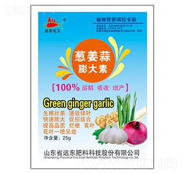 �[���������-�h�|����