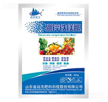 ���\�F�V��-�h�|����