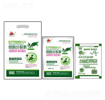 ���������ؽM��-�h�|����