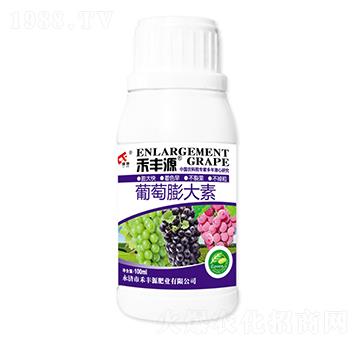 ���������-���SԴ�ʘI(y��)