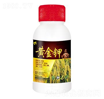 �S���-���SԴ�ʘI(y��)