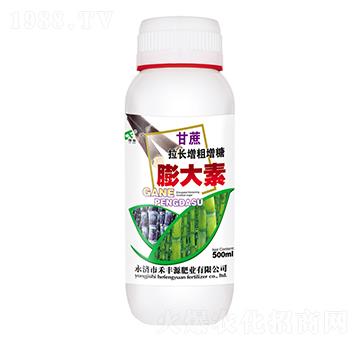 甘蔗拉長增粗增糖膨大素-禾豐源肥業(yè)
