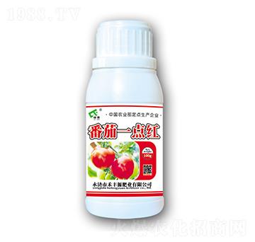 番茄一點(diǎn)紅-禾豐源肥業(yè)